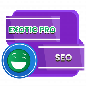 SEO SERVICES บริการรับทำ SEO EXOTIC PACKAGE