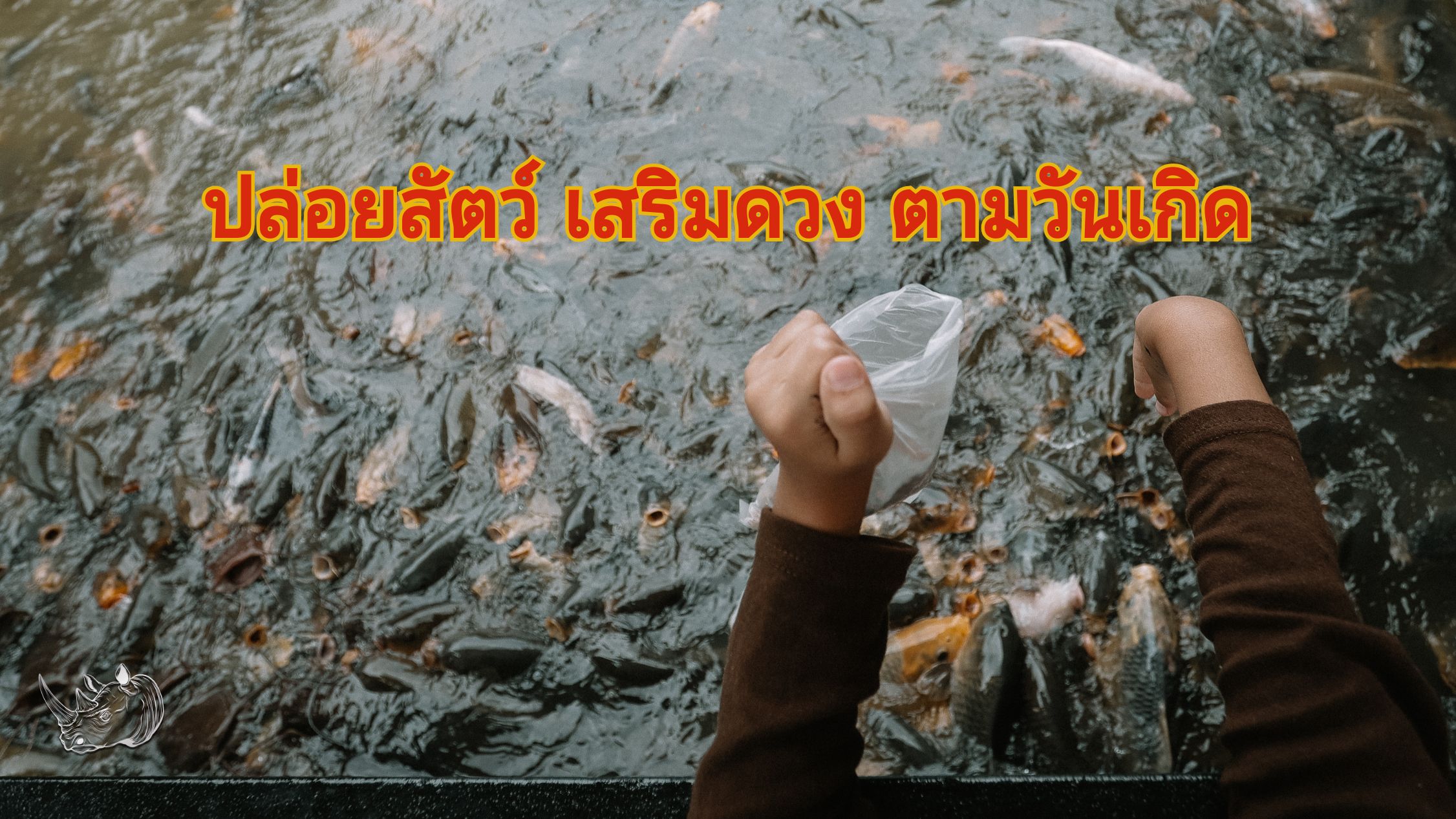 ปล่อยสัตว์ชนิดไหน เสริมดวง ตามวันเกิด