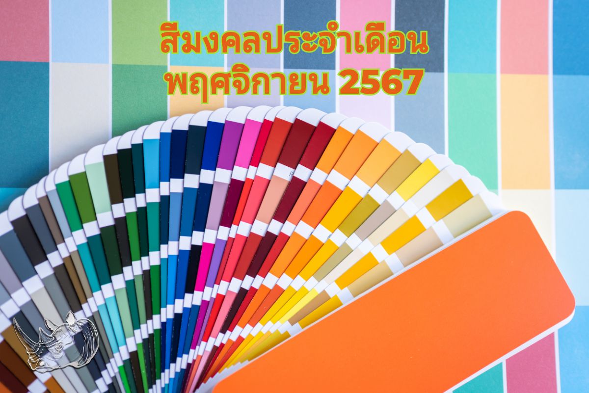 สีมงคลประจำเดือนพฤศจิกายน 2567 เสริมดวงชะตาให้ปังตลอดเดือน