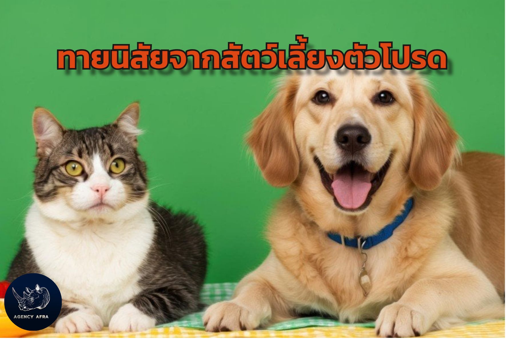 ทายนิสัยจากสัตว์เลี้ยงตัวโปรด สัตว์เลี้ยงของคุณบอกอะไรเกี่ยวกับตัวคุณ