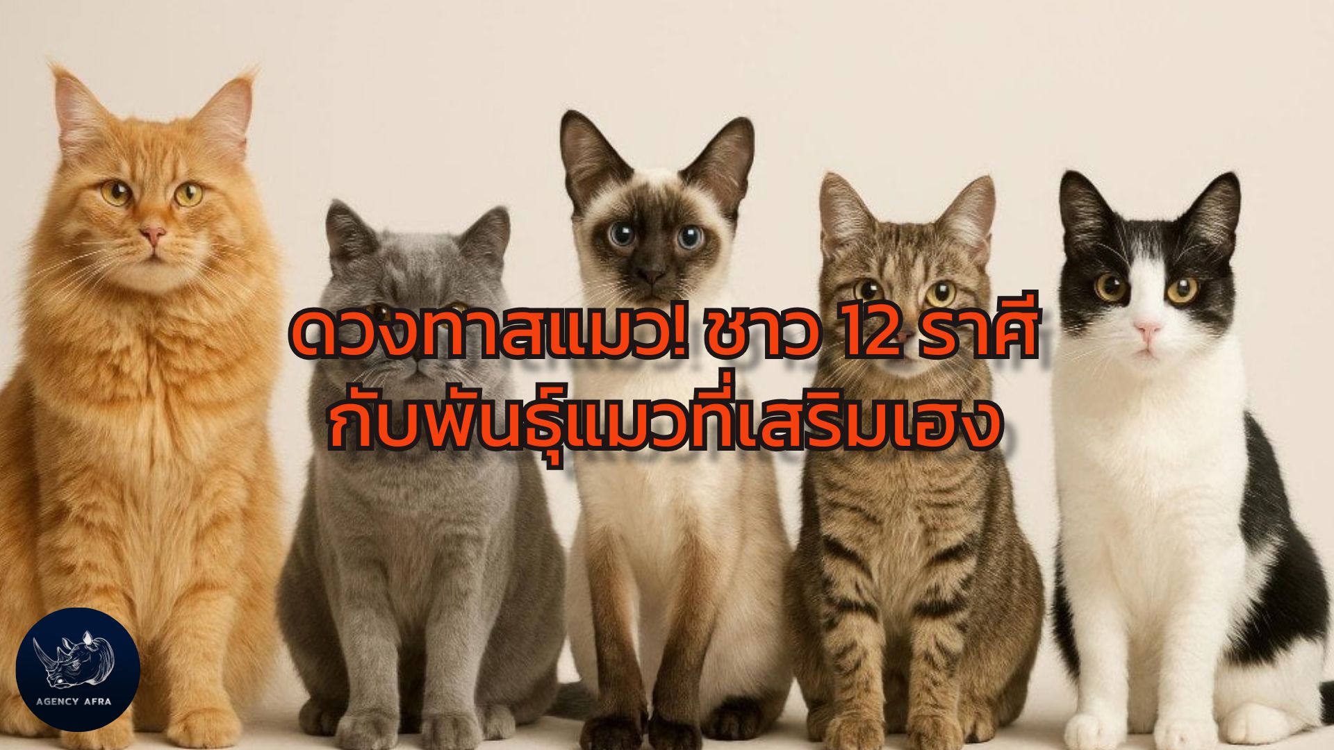 ดวงทาสแมว! ชาวราศี 12 กับพันธุ์แมวที่เสริมเฮง เลี้ยงแล้วรวย เลี้ยงแล้วปัง