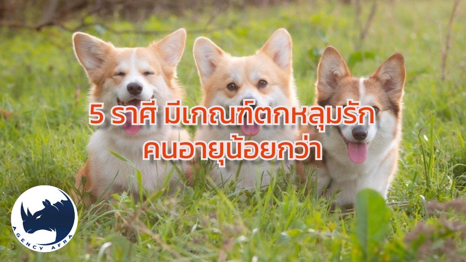 5 ราศี มีเกณฑ์ตกหลุมรักคนอายุน้อยกว่า เตรียมเปิดใจรับความสัมพันธ์ที่สดใส