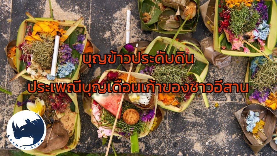 บุญข้าวประดับดิน ประเพณีบุญเดือนเก้าของชาวอีสาน สะท้อนความเชื่อเรื่องการอุทิศส่วนกุศลให้ผู้ล่วงลับ