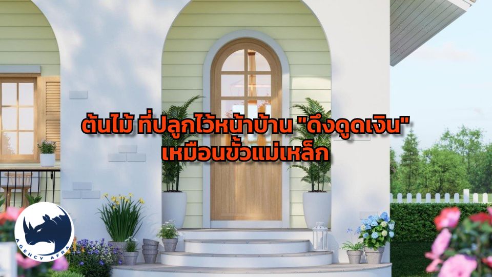 7 ต้นไม้ ที่ปลูกไว้หน้าบ้าน "ดึงดูดเงิน" เหมือนขั้วแม่เหล็ก เสริมฮวงจุ้ยบ้านให้ร่ำรวย