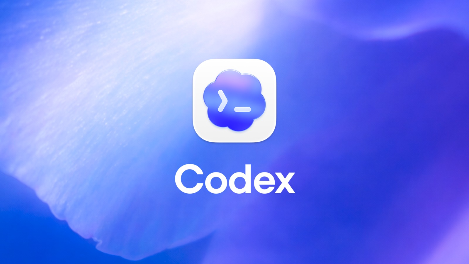 OpenAI เปิดตัว Codex App for Windows สั่ง AI รันโค้ดพร้อมกันได้แล้ว